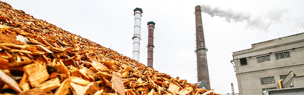 biomass facility
